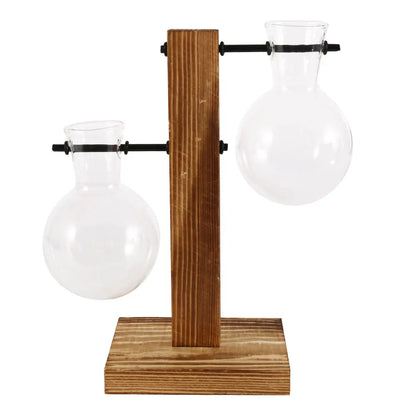 Glass Planter Vase with Wooden Stand