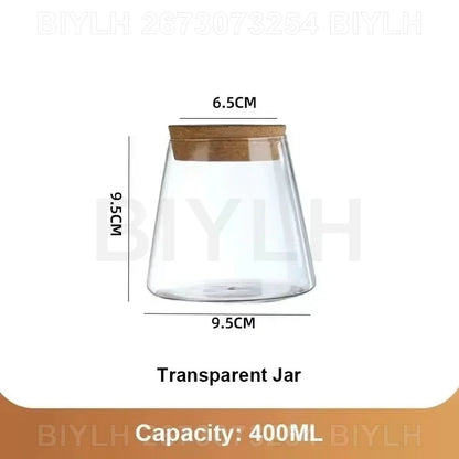 Glass Hydroponic Vase