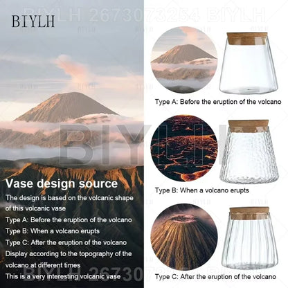 Glass Hydroponic Vase