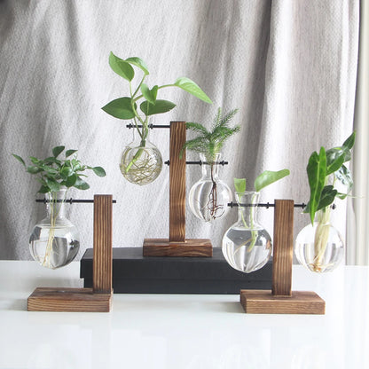 Glass Planter Vase with Wooden Stand