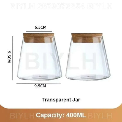 Glass Hydroponic Vase