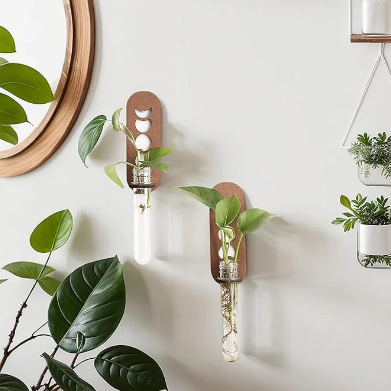 Wooden Moon Wall Planter