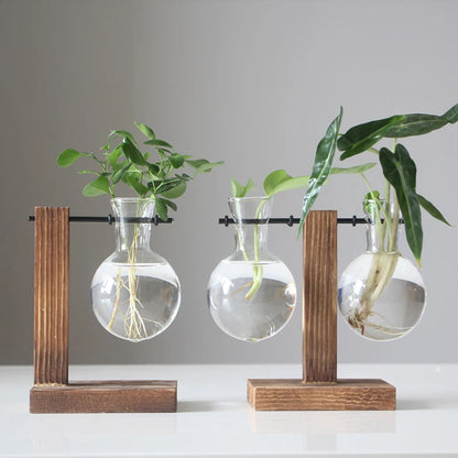Glass Planter Vase with Wooden Stand