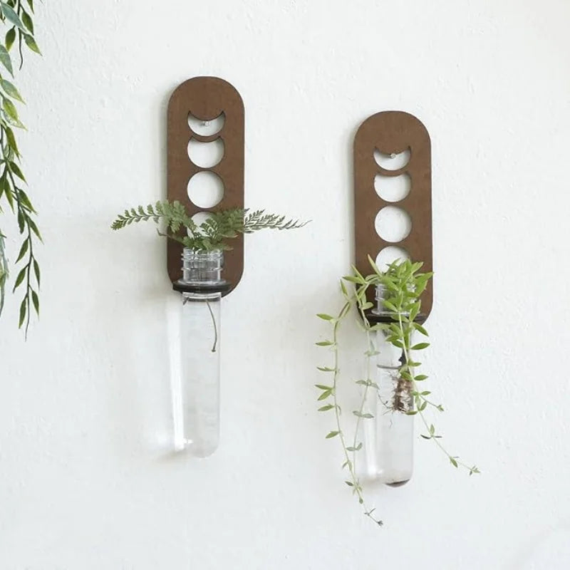 Wooden Moon Wall Planter
