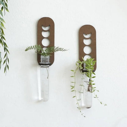 Wooden Moon Wall Planter