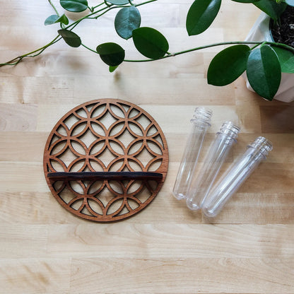 Wooden Moon Wall Planter