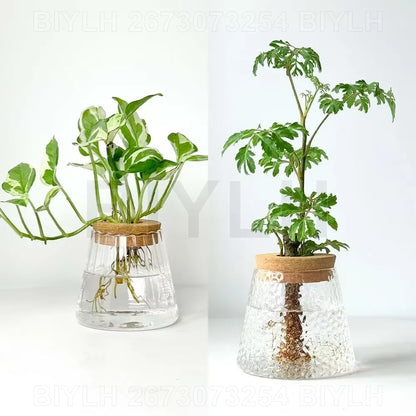 Glass Hydroponic Vase