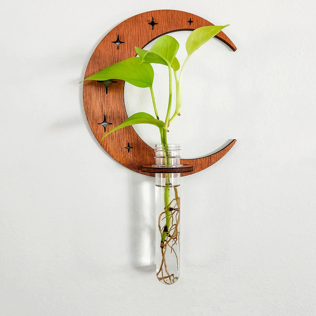 Wooden Moon Wall Planter