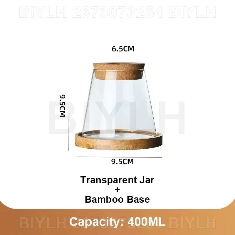 Glass Hydroponic Vase