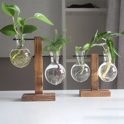 Glass Planter Vase with Wooden Stand